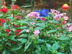 景观位-国生茶庄·地道农家菜团建活动