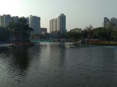 -荔湾湖公园