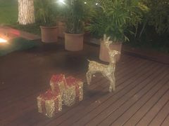 -橘洲1910花园江景西餐厅