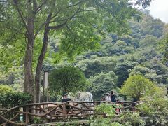 -神龙峡风景区