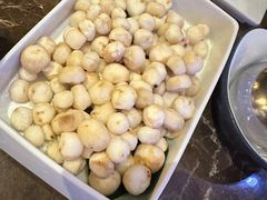 -同仁四季椰子鸡(罗湖国贸店)
