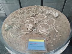 -房山世界地质公园博物馆