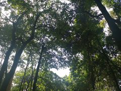 -火炉山森林公园
