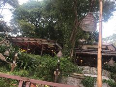 -卷心菜和避孕套餐厅(Pattaya)