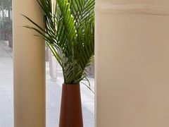 -BeauTea水仙(coco park店)