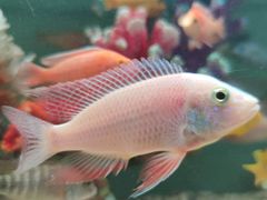 -金三角花鸟鱼综合市场-地面停车场