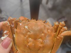 -蟹天蟹地农家菜·阳澄湖大闸蟹(浅水湾店)