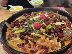 -老板恋上鱼(恒隆广场店)