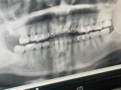 -复旦大学附属华山医院(总院)