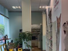 -瑞派申生动物医院·24H夜诊·国际动物医疗中心·骨外科(吴中路店)