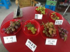 -马陆小张葡萄园农家乐