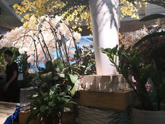 -春暖花开(西溪店)
