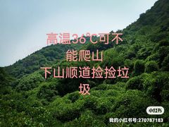 -大觉寺-停车场