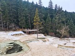 -黄龙山原始森林景区