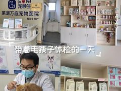 -宠颐生宠物医院·犬猫全科·皮肤科(商业街店)
