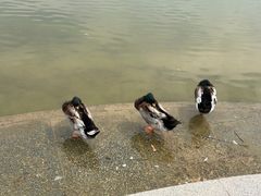 -太阳宫公园