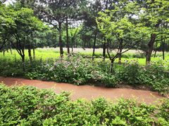 -大兴滨河森林公园