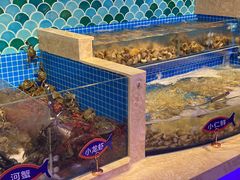 水产区-乔哥铭洋海鲜自助(皇城恒隆广场店)