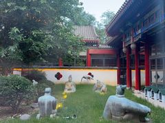 -1949-全鸭季(金宝街店)