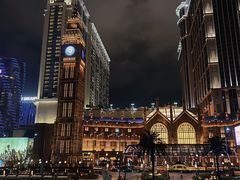 -澳门威尼斯人综合度假区