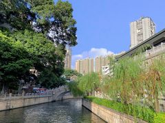 -荔湾湖公园