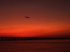 -宝安西湾红树林湿地公园