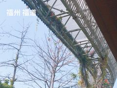 -福道