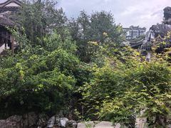 -芥子园