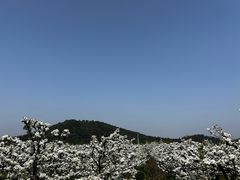 -树山生态村