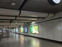 -金科路(地铁站)
