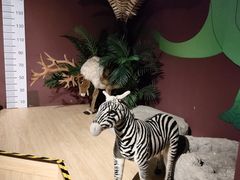 -正佳自然科学博物馆