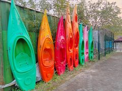 -上海海湾国家森林公园