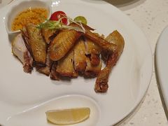 -青叶202都市餐厅(迪诺水镇店)