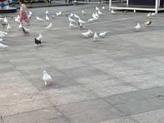 -万达广场(广州番禺店)