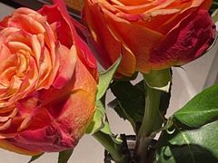 -四川饭店(长白店)