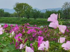 -良渚古城遗址公园