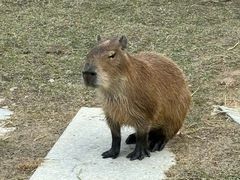 -台山颐和温泉城