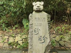 -中国大熊猫保护研究中心雅安碧峰峡基地