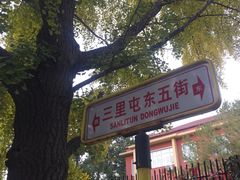 -三里屯东五街银杏大道