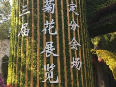 -汇龙潭