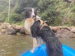 -安吉龙王山峡谷漂流