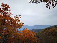 -西安祥峪森林公园