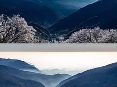 -安吉龙王山风景区