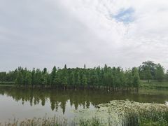 -白鹭湾湿地公园
