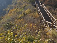 -大岭沟猕猴桃谷风景区