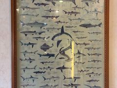 -鼎仔翅(龙湖公寓北区店)