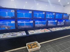 -小海丁