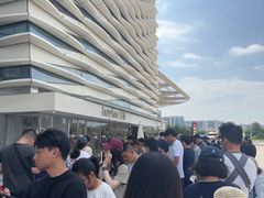 -喜茶(珠海华发商都店)