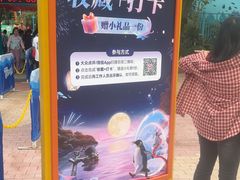-海合安成都极地海洋公园