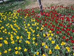 -长春公园(普阳街道)